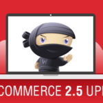 WooCommerce Update 2 5 Dashing Dolphin